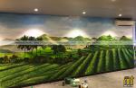 Vẽ tranh tường Cafe, trà sữa TP Tea và Món Huế